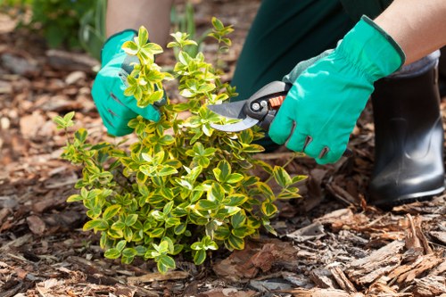 Eco-friendly garden clearance practices being implemented