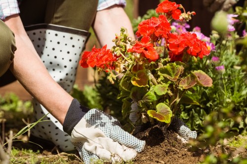 Sustainable garden practices including composting and rainwater harvesting in Peckham.