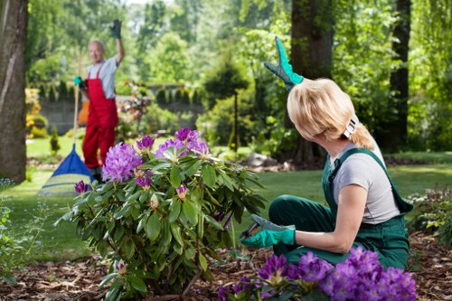 Professional gardener tending to a lush Peckham garden