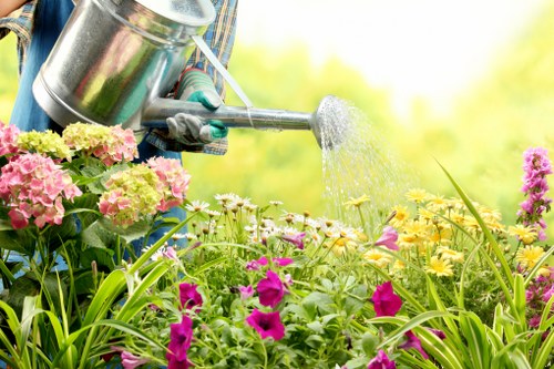 Creative garden design by Peckham gardeners