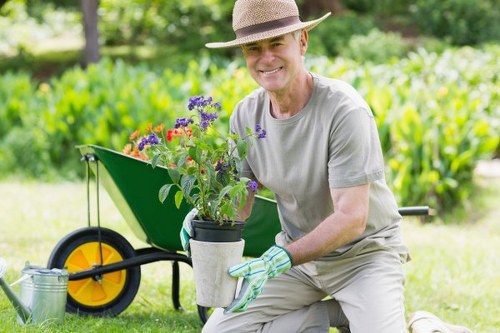 Seasonal maintenance by a garden expert in Peckham